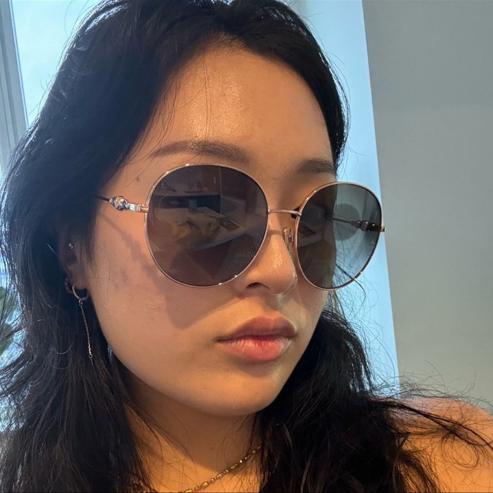 NWOT Jimmy Choo Sunglasses
